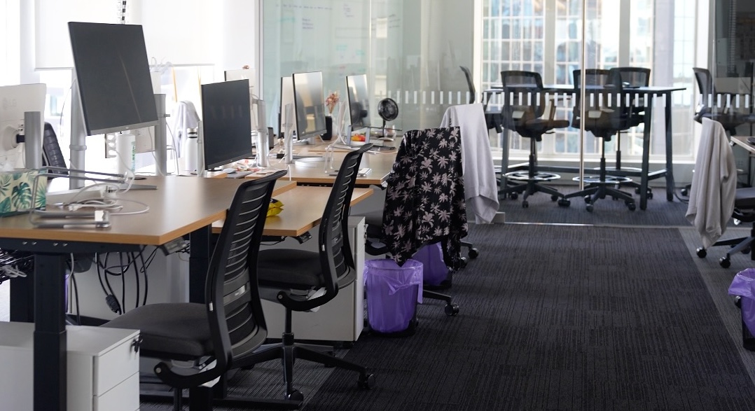 Clean modern open-plan Auckland office
